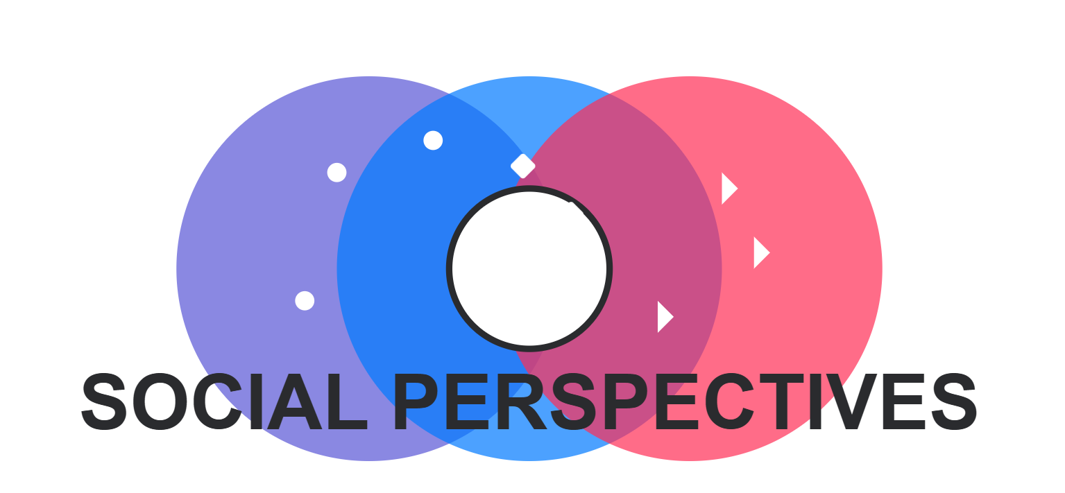 Data Perspectives Logo